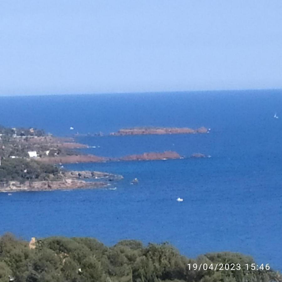 Studio 4P Vue Mer Calme Cap Esterel Сен-Рафаэль Экстерьер фото